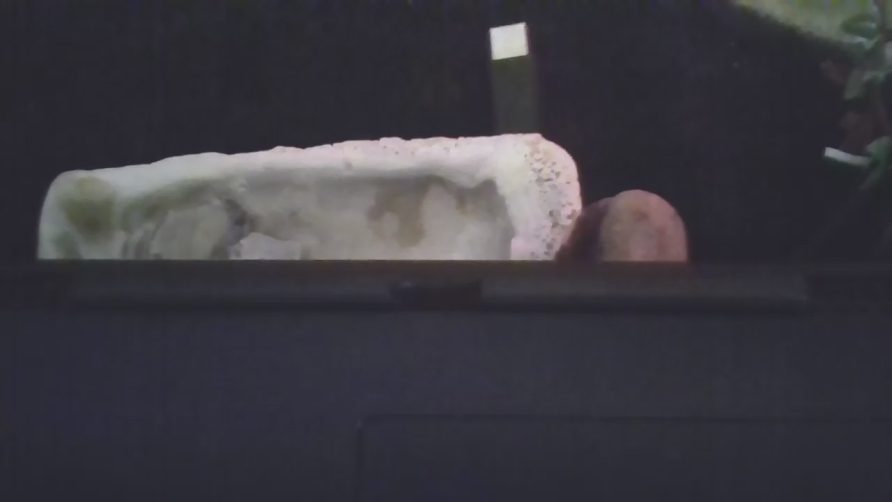 Chat Live with DanforthBoys on Cam4