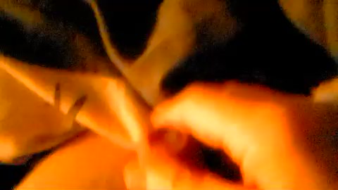 Chat Live with Gym2 on Cam4