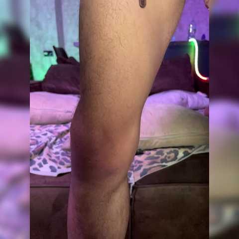 Chat Live with NickiMaldini on BongaCams