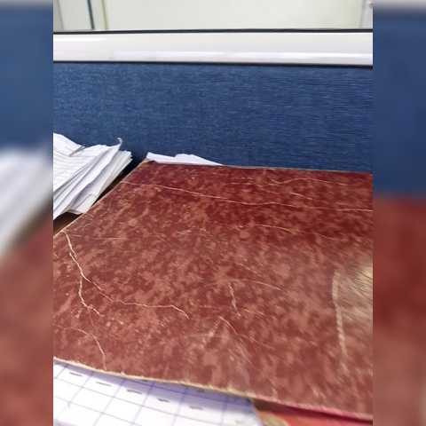 Chat Live with Kary221a on BongaCams