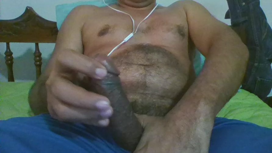 Chat Live with bbccol1 on Cam4