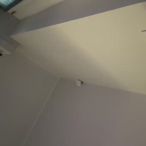 Chat Live with beltipettoNA on Cam4