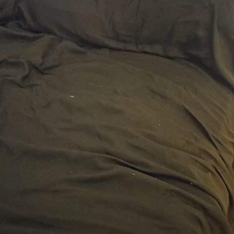 Chat Live with kassroll on Cam4