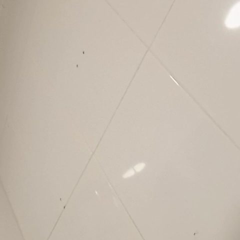 Chat Live with moha286 on Cam4