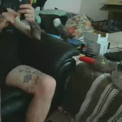 Chat Live with qwerty77771 on Cam4