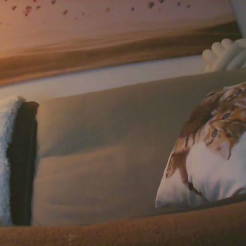 Chat Live with uffty96 on Cam4