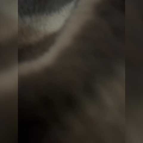 Chat Live with Sosochka-99A on BongaCams