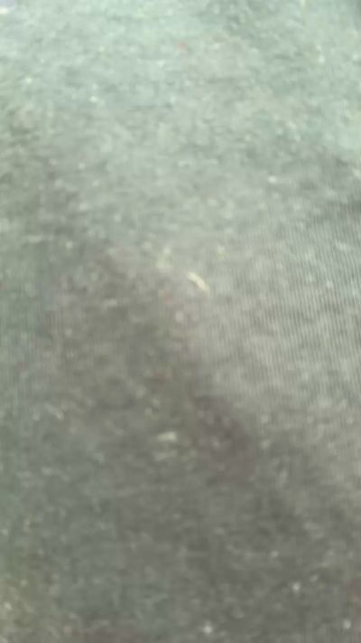 Chat Live with Danyblack1985 on Cam4