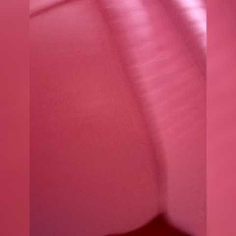 Chat Live with Kaass111-123 on BongaCams